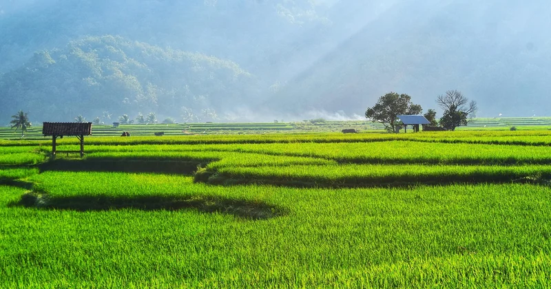 Combien de jours pour voir les villages typiques de Bali ?